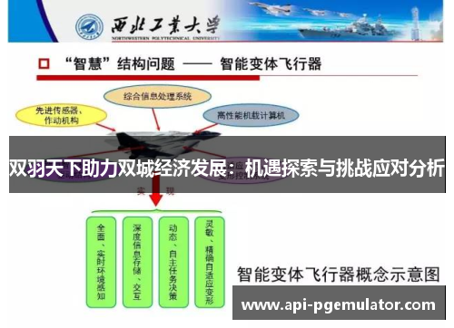 双羽天下助力双城经济发展：机遇探索与挑战应对分析