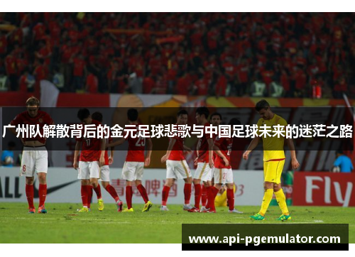 广州队解散背后的金元足球悲歌与中国足球未来的迷茫之路