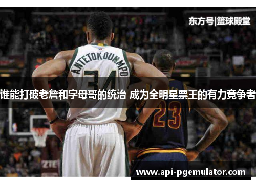 谁能打破老詹和字母哥的统治 成为全明星票王的有力竞争者