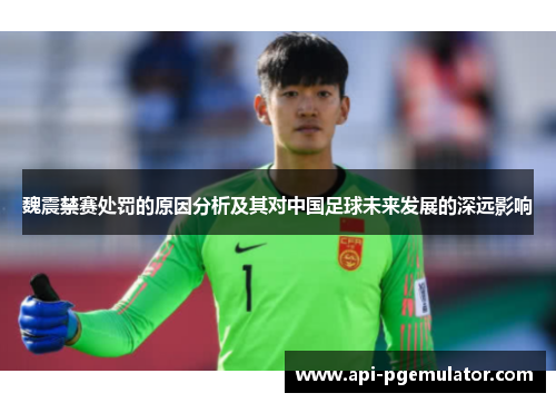 魏震禁赛处罚的原因分析及其对中国足球未来发展的深远影响