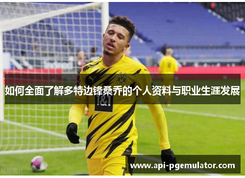 如何全面了解多特边锋桑乔的个人资料与职业生涯发展 如何全面了解多特边锋桑乔的个人资料与职业生涯发展