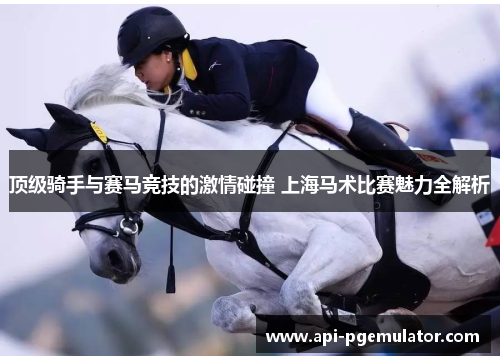 顶级骑手与赛马竞技的激情碰撞 上海马术比赛魅力全解析 顶级骑手与赛马竞技的激情碰撞 上海马术比赛魅力全解析