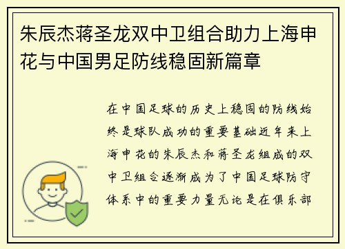 朱辰杰蒋圣龙双中卫组合助力上海申花与中国男足防线稳固新篇章