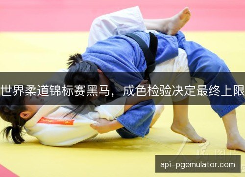 世界柔道锦标赛黑马，成色检验决定最终上限