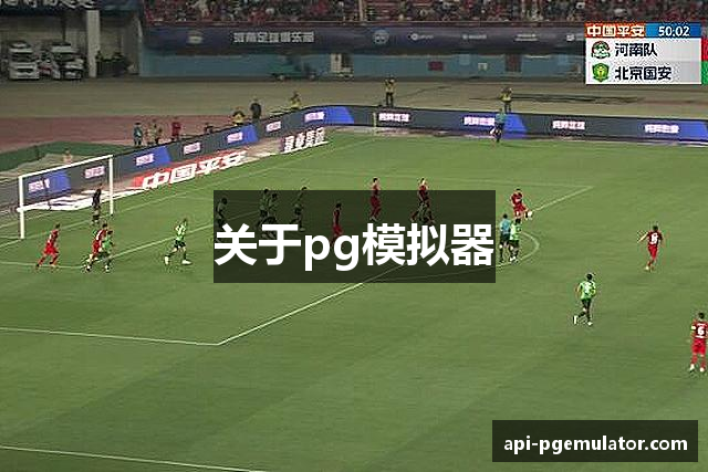 关于pg模拟器